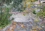 Masia with land for sale in Alpandeire ref: TR394224 photo