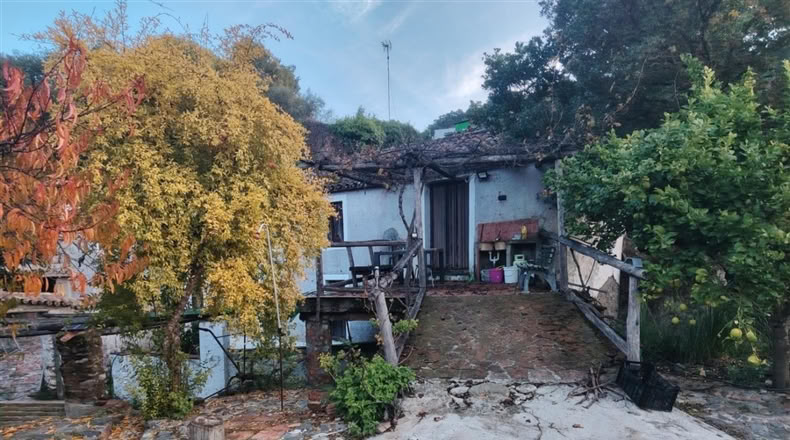 Málaga - Alpandeire - 26000m2