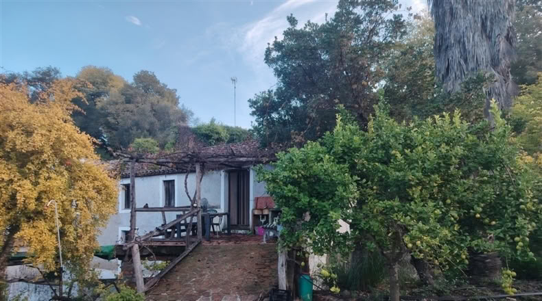 Málaga - Alpandeire - 26000m2
