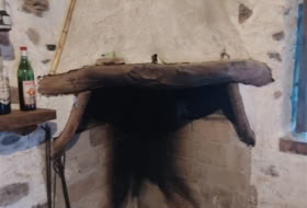 Foto 16
