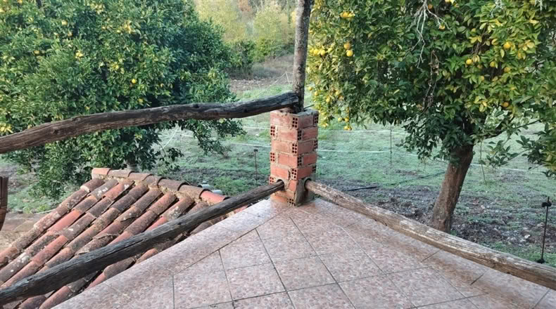 Málaga - Alpandeire - 26000m2
