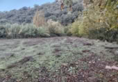 Masia with land for sale in Alpandeire ref: TR394224 photo