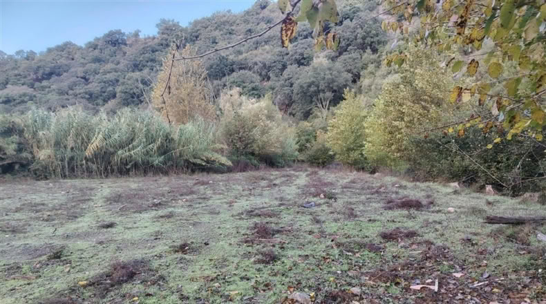 Málaga - Alpandeire - 26000m2