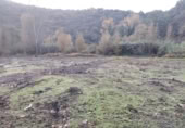 Masia with land for sale in Alpandeire ref: TR394224 photo
