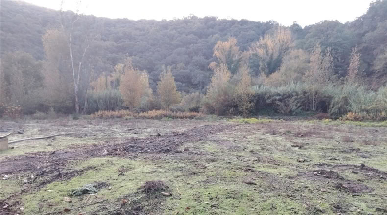 Málaga - Alpandeire - 26000m2
