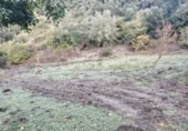 Masia with land for sale in Alpandeire ref: TR394224 photo