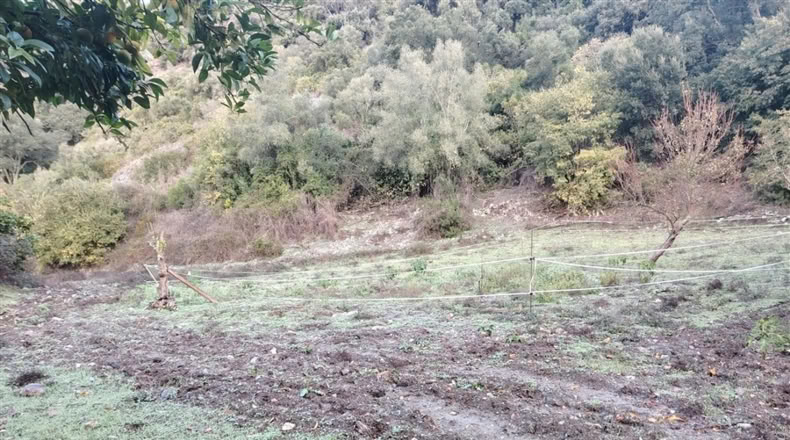 Málaga - Alpandeire - 26000m2