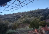 Masia with land for sale in Alpandeire ref: TR394224 photo