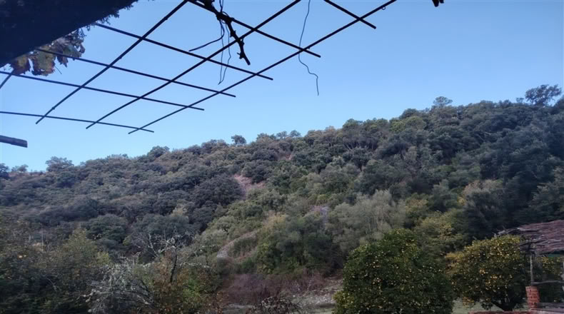 Málaga - Alpandeire - 26000m2