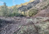 Masia with land for sale in Alpandeire ref: TR394224 photo