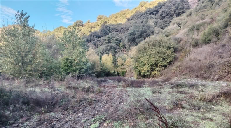 Málaga - Alpandeire - 26000m2
