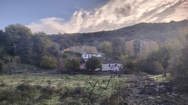 Málaga - Alpandeire - 26000m2