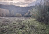 Masia with land for sale in Alpandeire ref: TR394224 photo