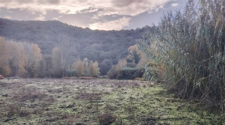 Málaga - Alpandeire - 26000m2