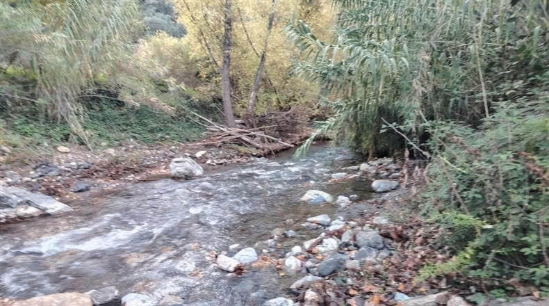 Málaga - Alpandeire - 26000m2