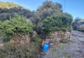 Masia with land for sale in Alpandeire ref: TR394224 photo