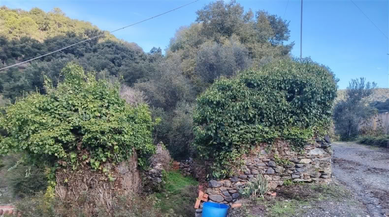 Málaga - Alpandeire - 26000m2