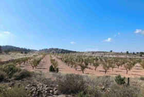 Jumella 22000&nbsp;m² 