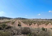 Terreno no urbanizable en venta en Jumilla ref: TR394073 foto
