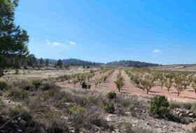 Jumella 22000&nbsp;m² 