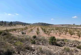 Jumella 22000&nbsp;m² 