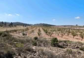 Terreno no urbanizable en venta en Jumilla ref: TR394073 foto