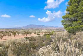 Jumella 22000&nbsp;m² 