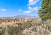 Terreno no urbanizable en venta en Jumilla ref: TR394073 foto