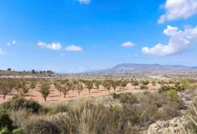 Jumella 22000&nbsp;m² 