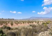 Terreno no urbanizable en venta en Jumilla ref: TR394073 foto