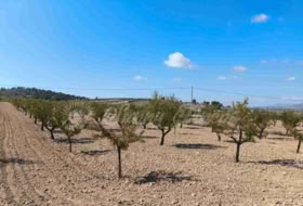 Jumella 22000&nbsp;m² 