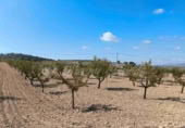 Terreno no urbanizable en venta en Jumilla ref: TR394073 foto