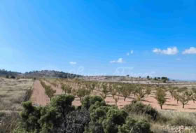Jumella 22000&nbsp;m² 