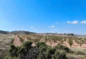 Terreno no urbanizable en venta en Jumilla ref: TR394073 foto