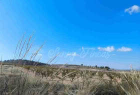 Jumella 22000&nbsp;m² 