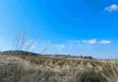 Terreno no urbanizable en venta en Jumilla ref: TR394073 foto