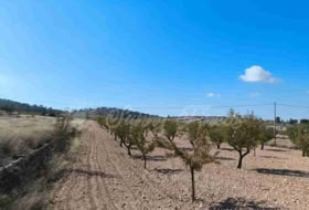 Jumella 22000&nbsp;m² 