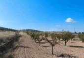 Terreno no urbanizable en venta en Jumilla ref: TR394073 foto