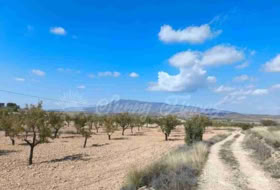 Jumella 22000&nbsp;m² 