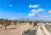 Terreno no urbanizable en venta en Jumilla ref: TR394073 foto