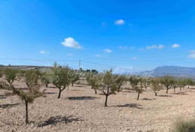 Jumella 22000&nbsp;m² 