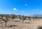 Terreno no urbanizable en venta en Jumilla ref: TR394073 foto