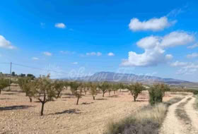 Jumella 22000&nbsp;m² 