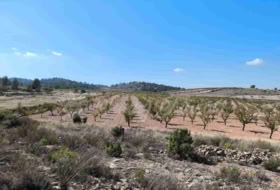 Jumella 22000&nbsp;m² 