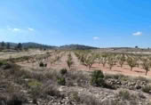 Terreno no urbanizable en venta en Jumilla ref: TR394073 foto