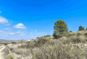 Jumella 22000&nbsp;m² 