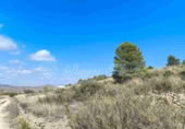 Terreno no urbanizable en venta en Jumilla ref: TR394073 foto