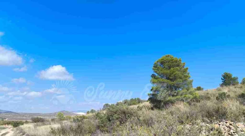 Murcia - Jumilla - 22000m2