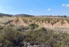 Jumella 22000&nbsp;m² 