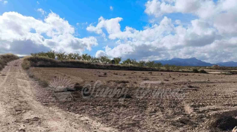 Murcia - Jumilla - 13000m2